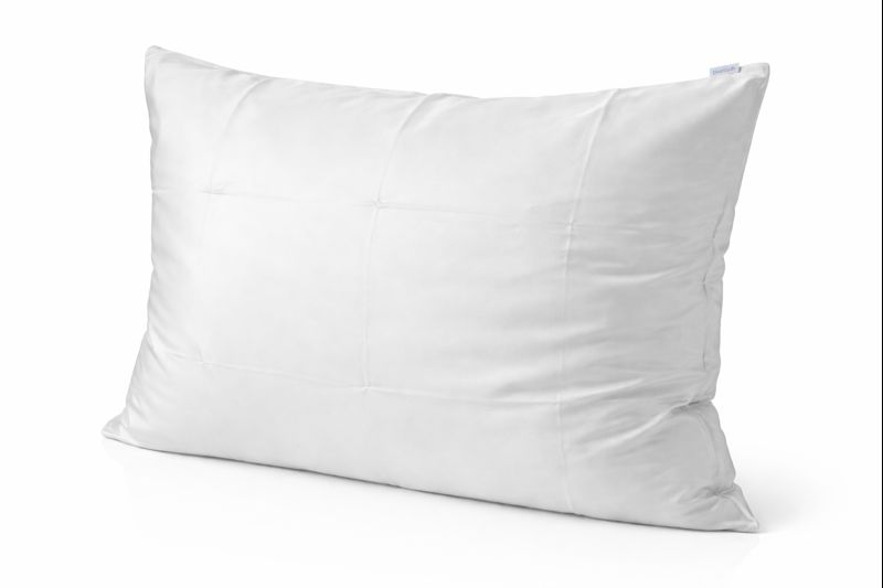 Coussin Relaxant en Soie